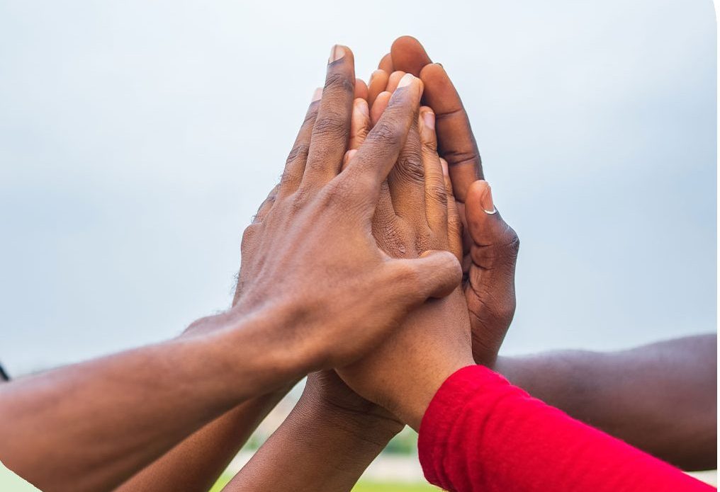 Join AVPA and Become A Catalyst For Positive Impact